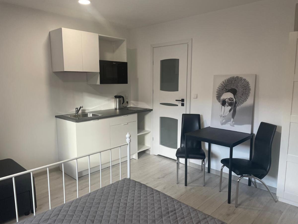 Apartamenty Wisla Centrum Eksteriør billede